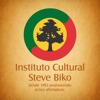 Instituto Cultural Steve Biko